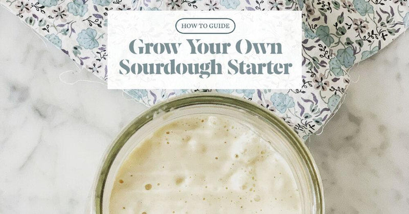 How to Grow a Sourdough Starter from Scratch - FarmSteady