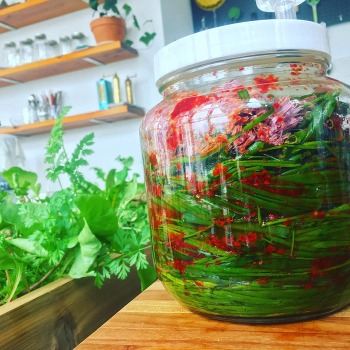 Recipe: Chive Blossom Kimchi - FarmSteady