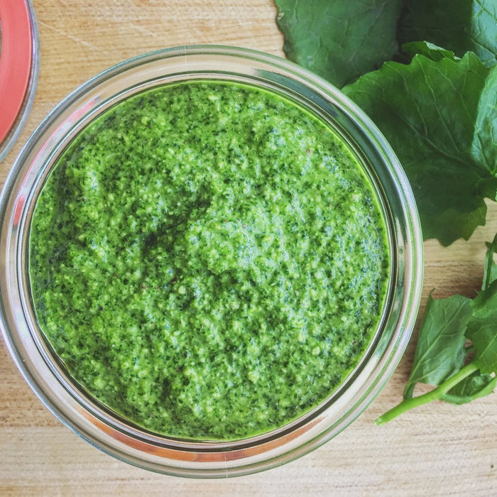 Recipe: Foraged Garlic Mustard Pesto - FarmSteady