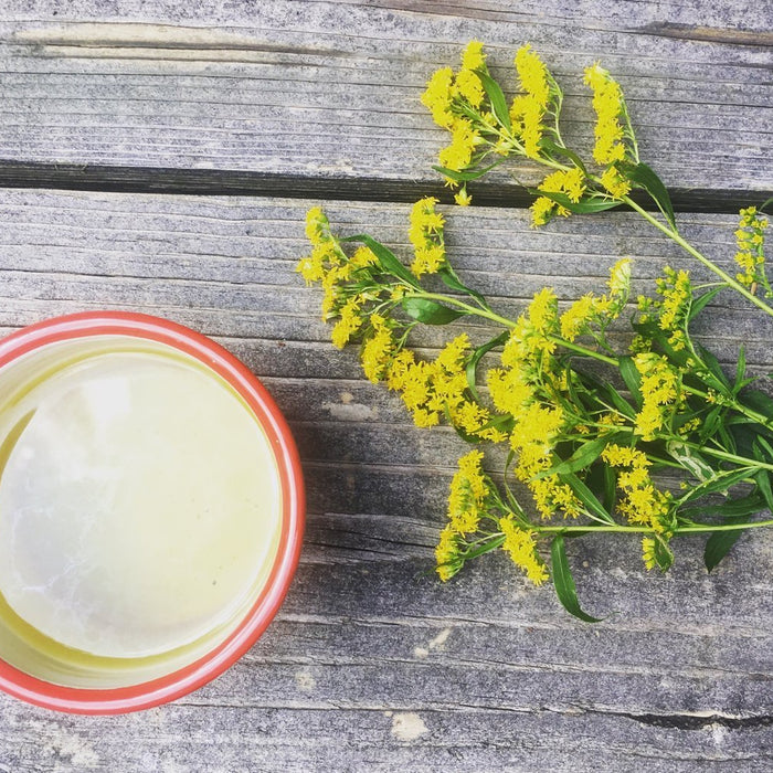 Recipe: Foraged Goldenrod Tea - FarmSteady