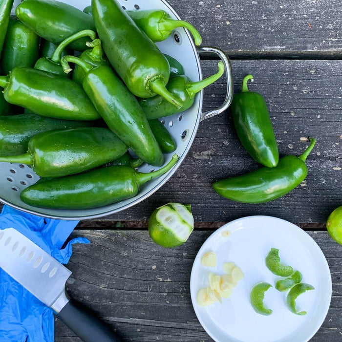Recipe: Lacto-Fermented Jalapeños - FarmSteady