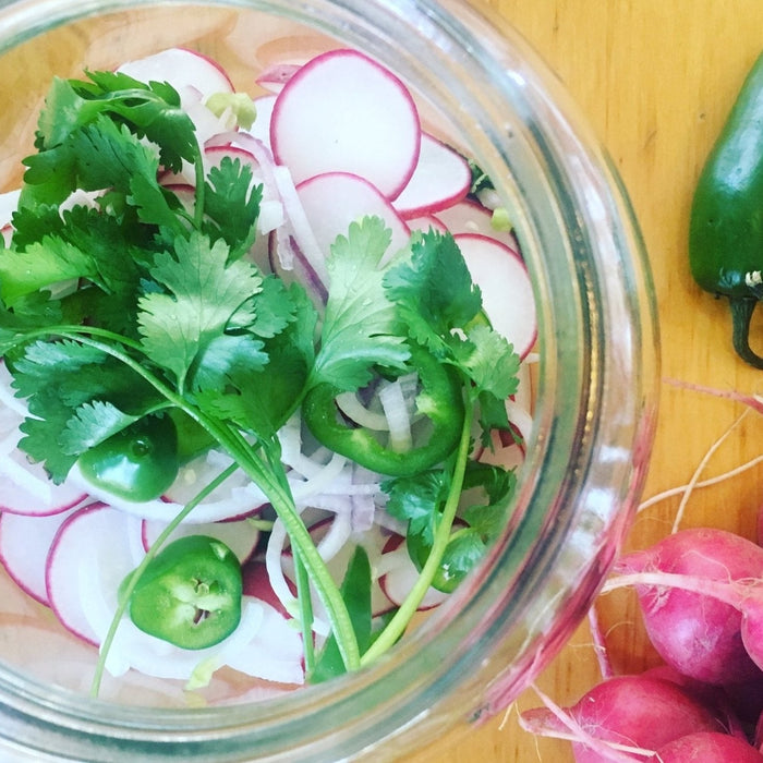Recipe: Lacto-Pickled Radish Slices - FarmSteady