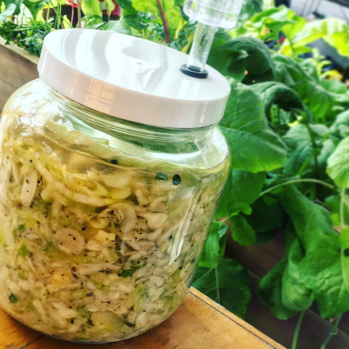 Recipe: Leek Black Pepper Thyme Kraut - FarmSteady