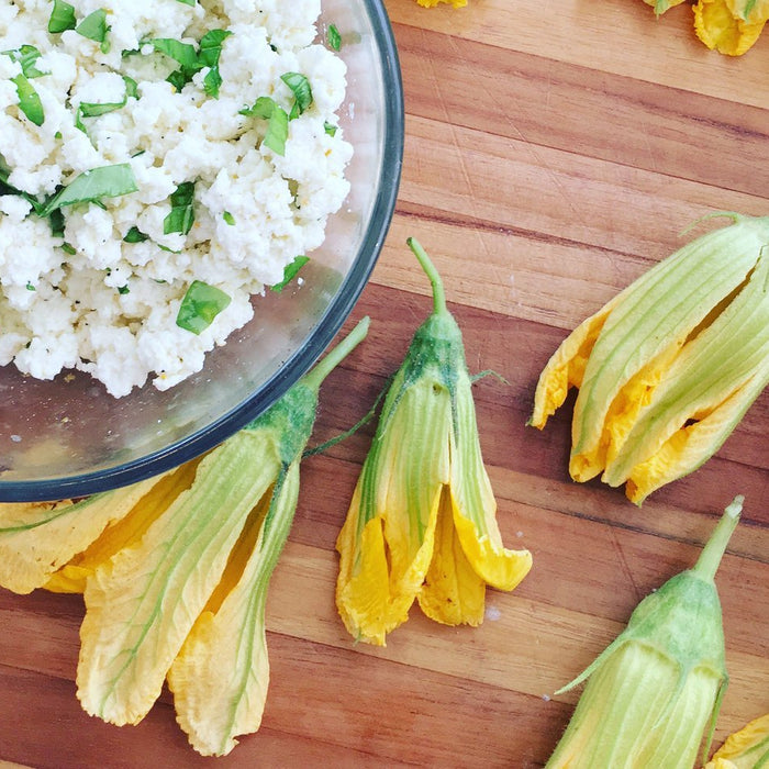 Recipe: Ricotta Stuffed Squash Blossoms - FarmSteady