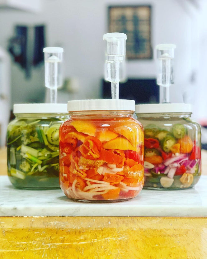 Browse All Fermentation Recipes