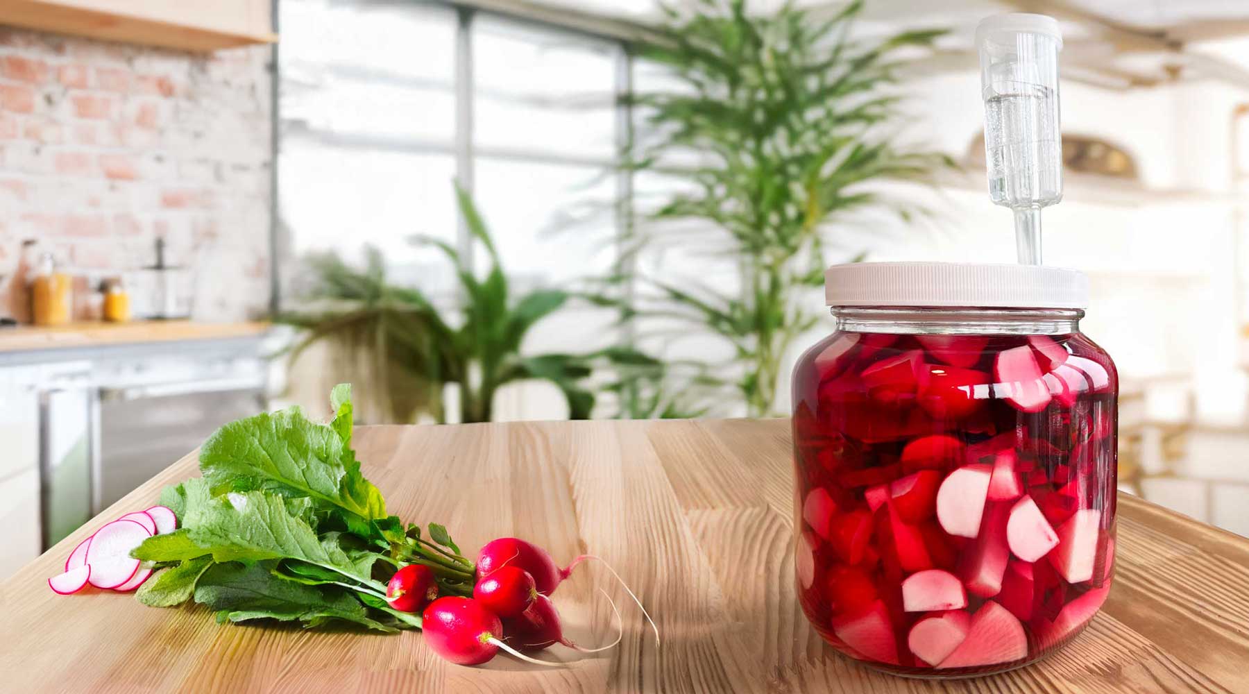 Radishes in a FarmSteady Fermented Vegetable Kit