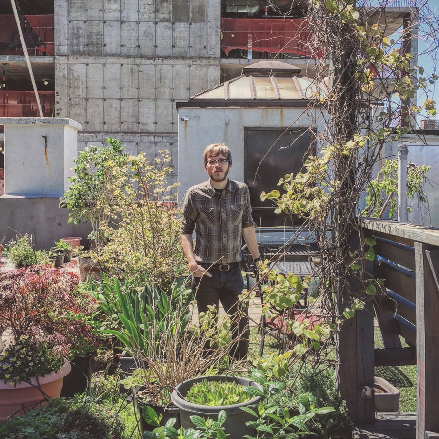 Stephen, co-founder of FarmSteady, in the rooftop garden among the planters