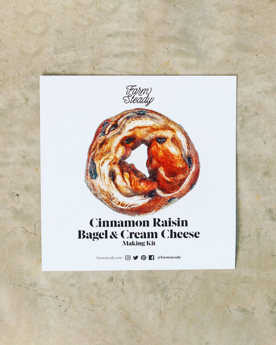 Cinnamon Raisin Bagel and Cream Cheese Making Kit information card laying on concrete.