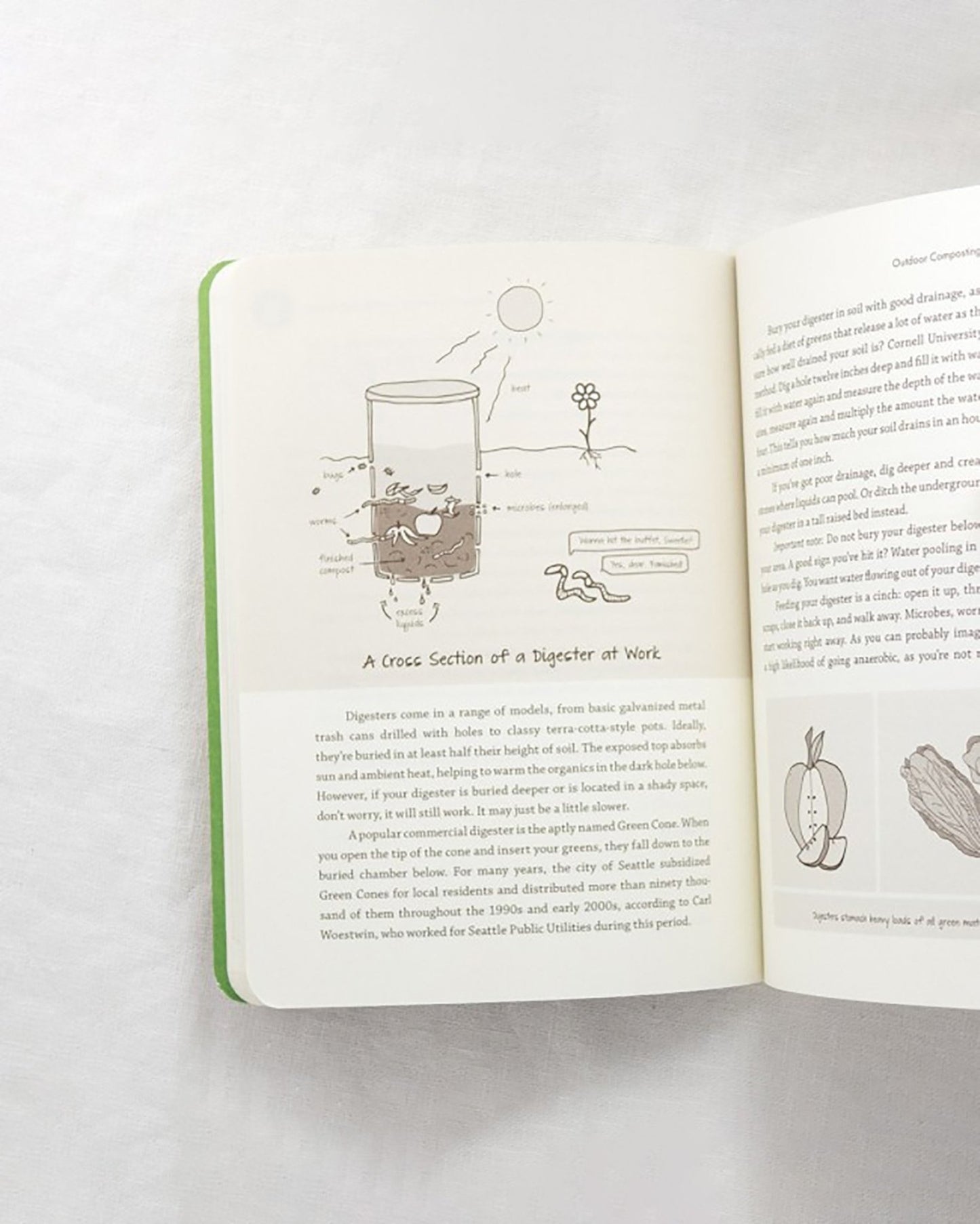 Compost City by Rebecca Louie opened