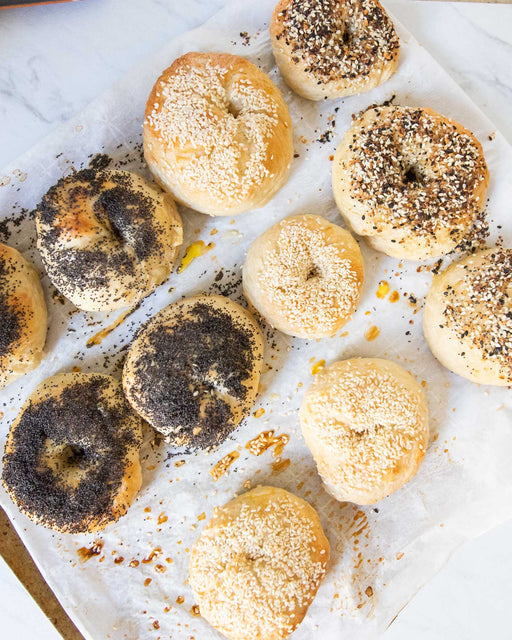 Mixed Dozen Bagel Making Kit - 3 - FarmSteady