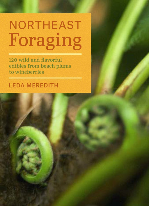 Northeast Foraging Guide - 2 - FarmSteady