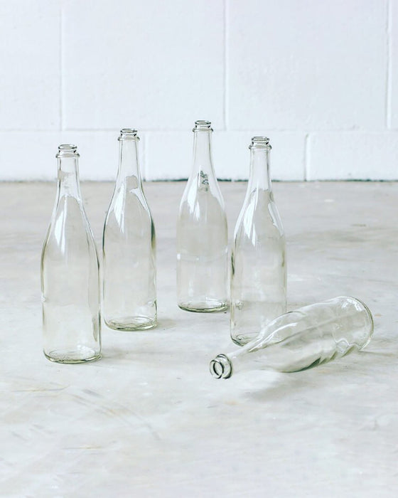 Sparkling Wine Bottles - 1 - FarmSteady