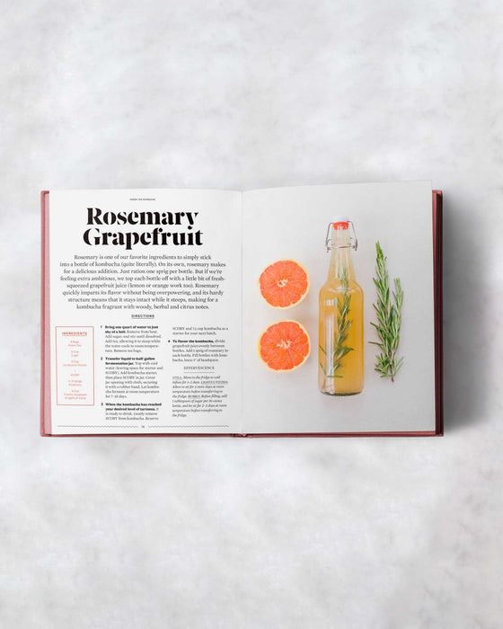 The FarmSteady Guide to Kombucha - 7 - FarmSteady