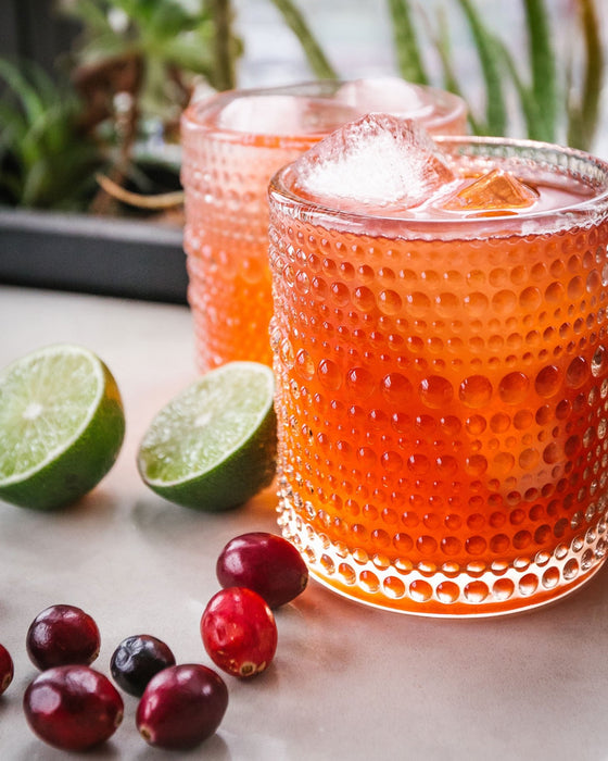 The FarmSteady Guide to Kombucha - 3 - FarmSteady