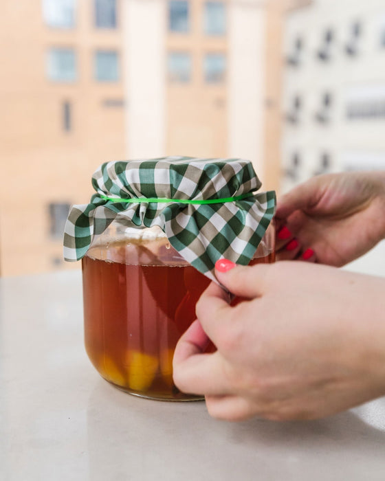 The FarmSteady Guide to Kombucha - 6 - FarmSteady