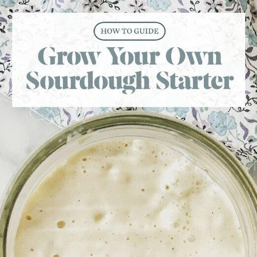 How to Grow a Sourdough Starter from Scratch - FarmSteady