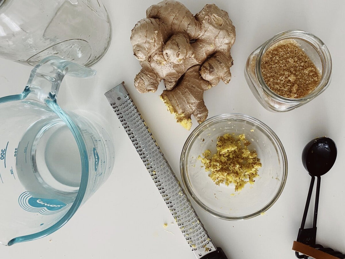 How to Make a Ginger Bug - FarmSteady