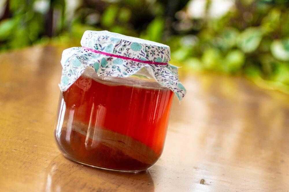 Recipe: Black Tea Kombucha - FarmSteady