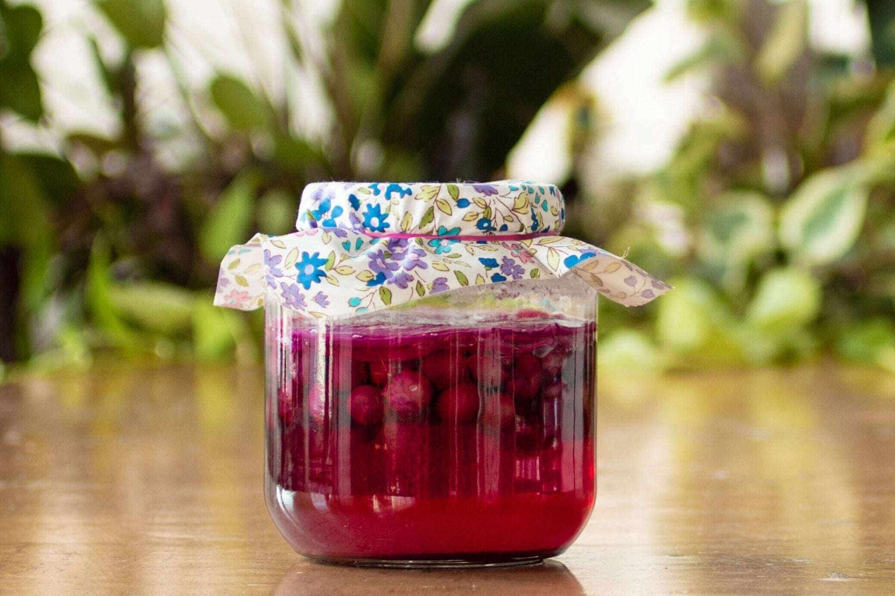 Recipe: Concord Grape Kombucha - FarmSteady