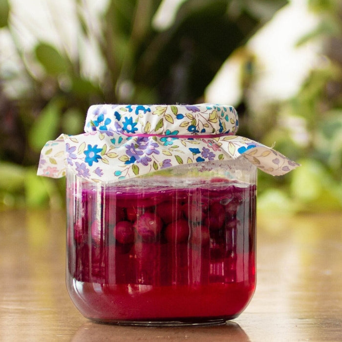Recipe: Concord Grape Kombucha - FarmSteady