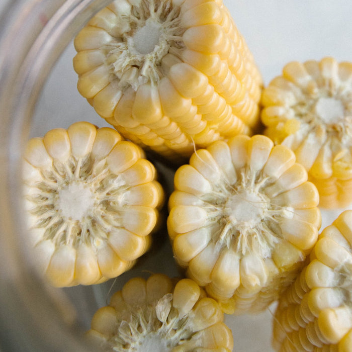 Recipe: Fermented Corn - FarmSteady