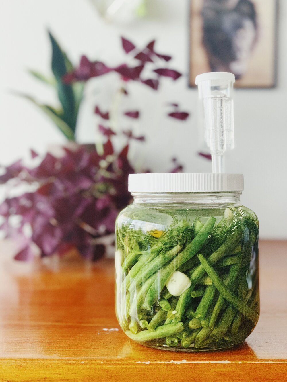 Recipe: Fermented Dilly Green Beans - FarmSteady