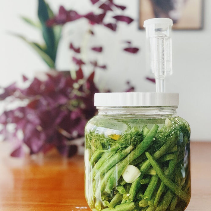 Recipe: Fermented Dilly Green Beans - FarmSteady