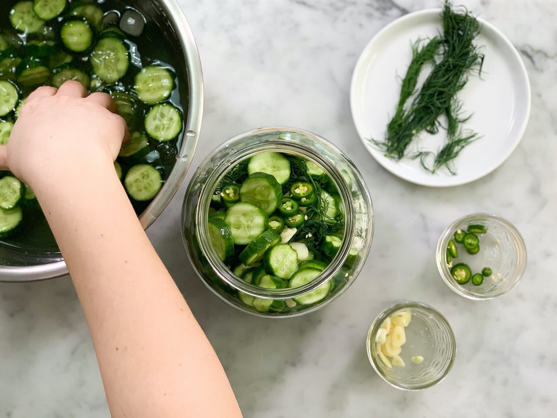 Recipe: Fermented Pickle Chips - FarmSteady