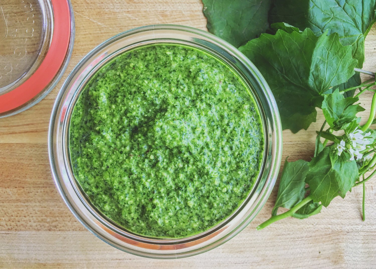 Recipe: Foraged Garlic Mustard Pesto - FarmSteady