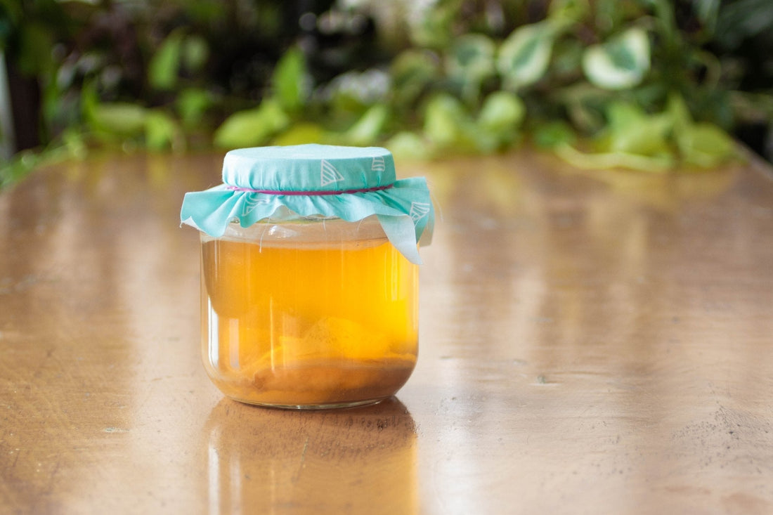 Recipe: Green Tea Kombucha - FarmSteady