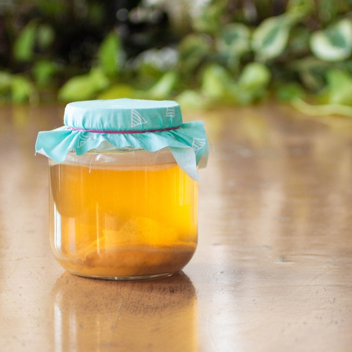 Recipe: Green Tea Kombucha - FarmSteady