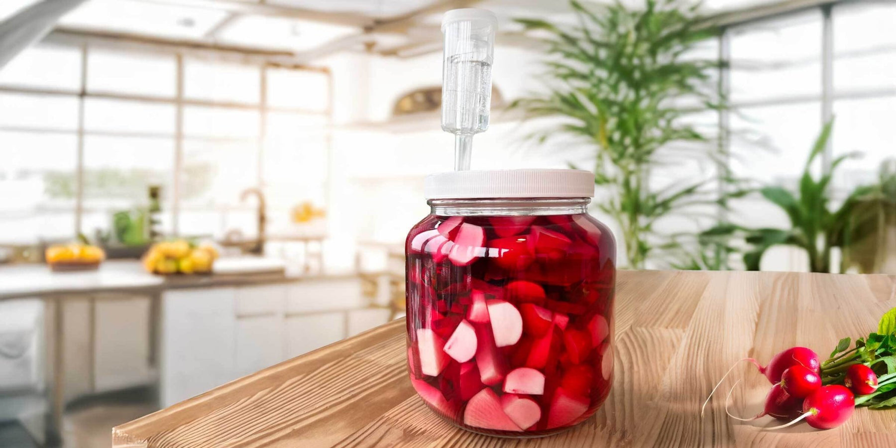 Recipe: Hot Pink Pickled Radishes - FarmSteady