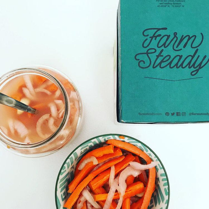 Recipe: Lacto-Fermented Carrot Sticks - FarmSteady