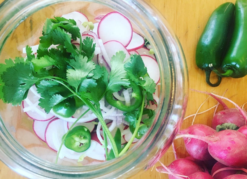 Recipe: Lacto-Pickled Radish Slices - FarmSteady