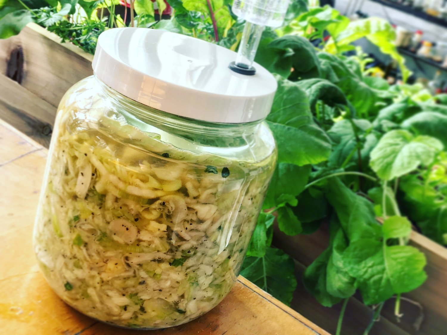 Recipe: Leek Black Pepper Thyme Kraut - FarmSteady