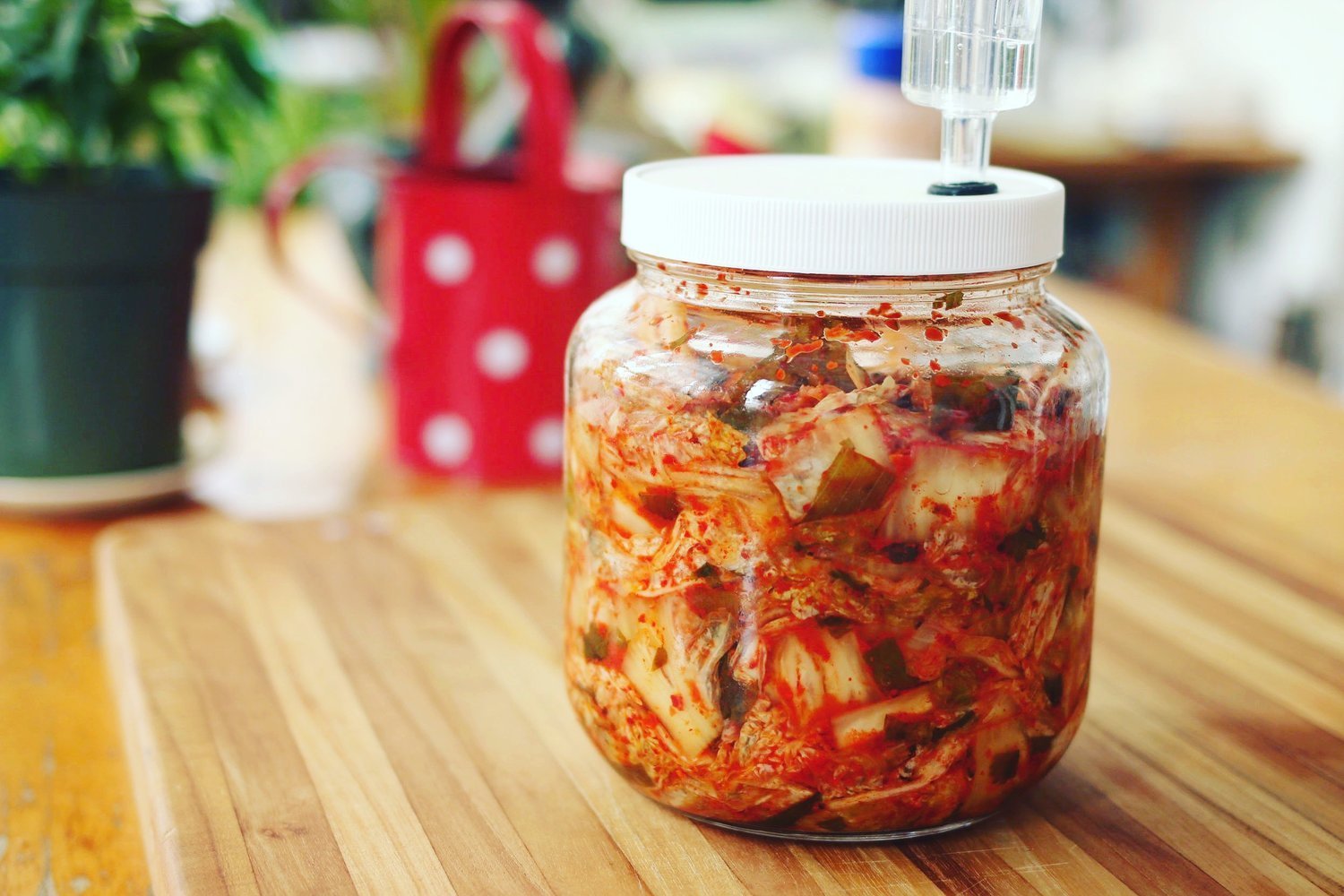 Recipe: Napa Cabbage Kimchi - FarmSteady