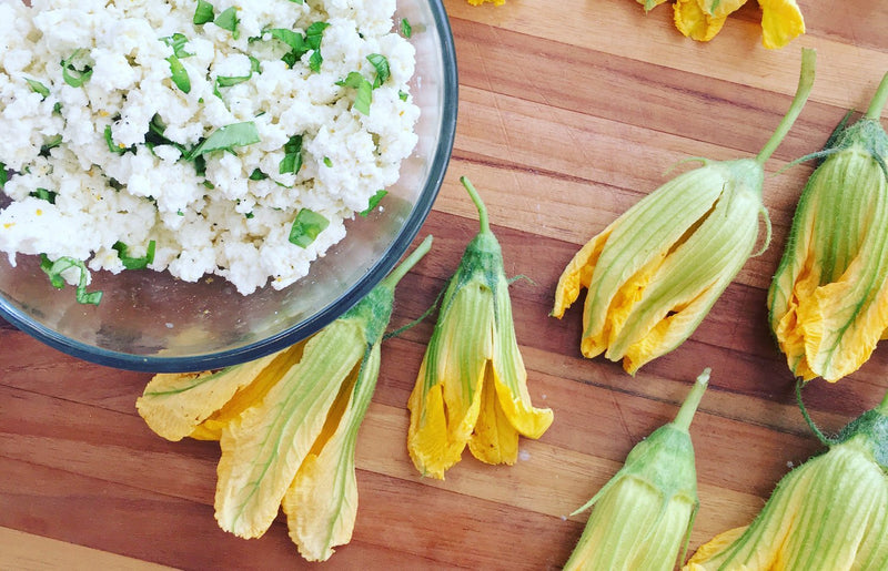 Recipe: Ricotta Stuffed Squash Blossoms - FarmSteady