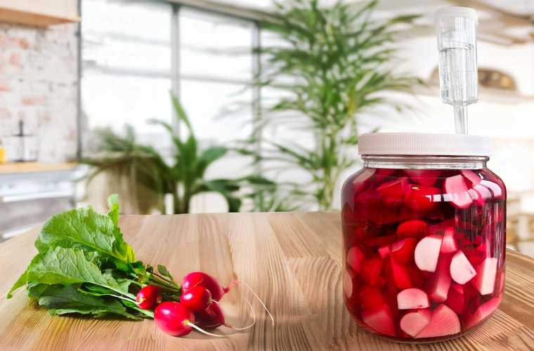 Radishes in a FarmSteady Fermented Vegetable Kit