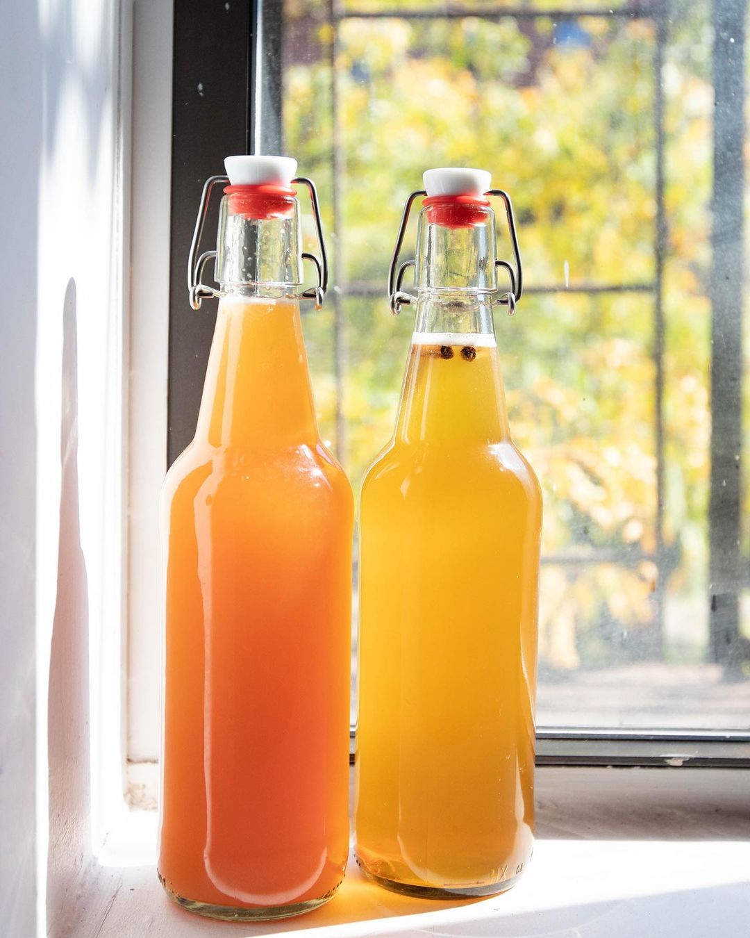 Shop Fermented Drink Kits for Kombucha, Sparkling Wine, Hard Cider & More