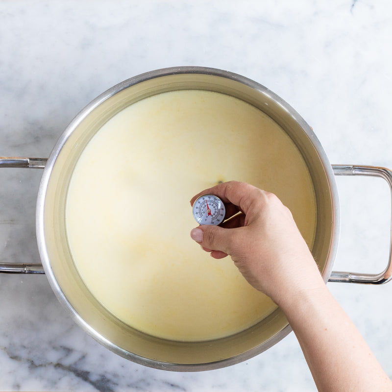 Checking milk temperature in a pot with a thermometer for cheese making
