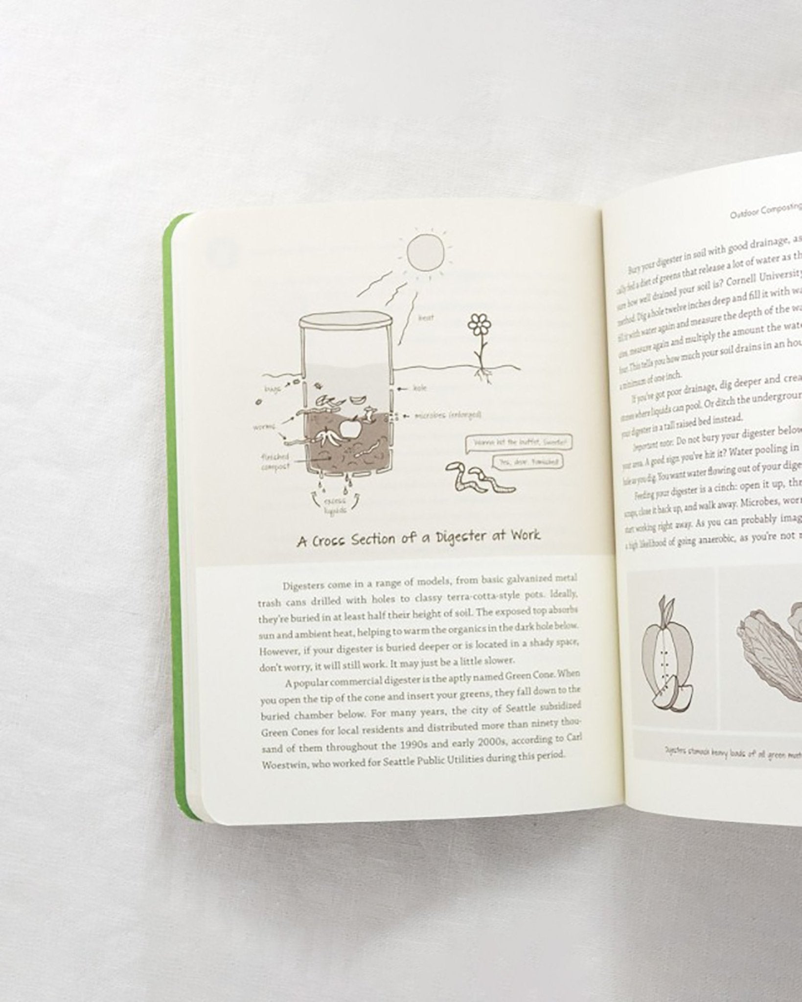 Compost City by Rebecca Louie opened