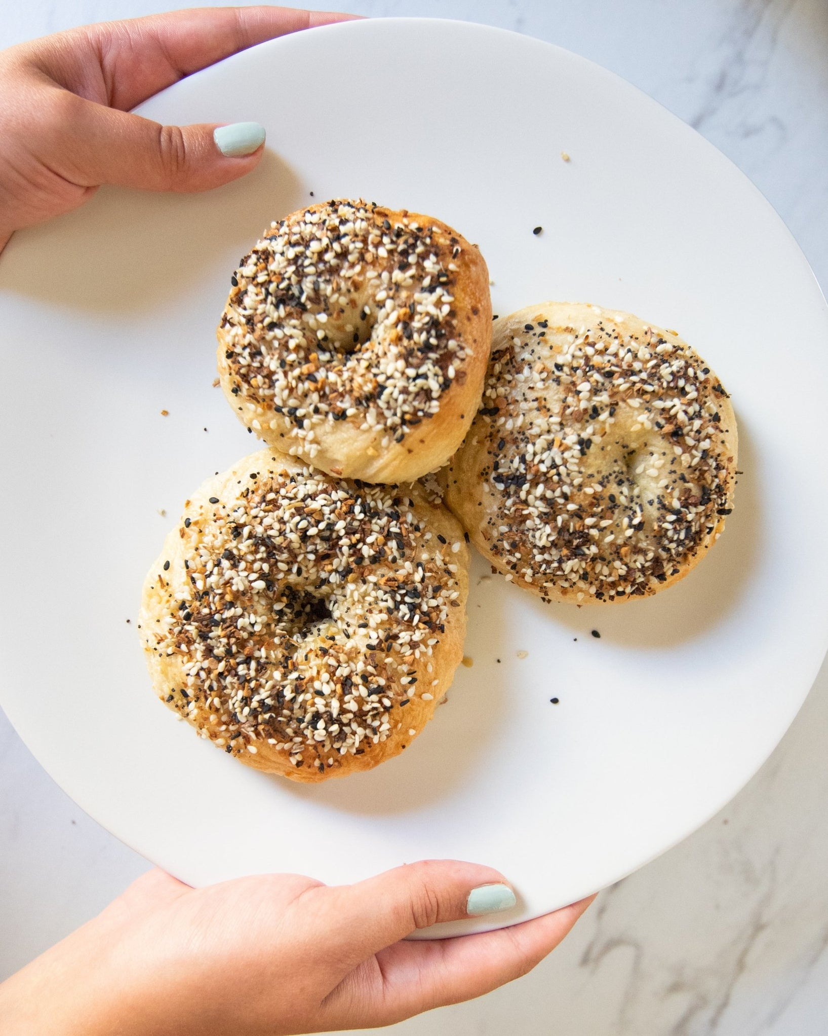Everything Bagel And Cream Cheese Kit — Farmsteady 