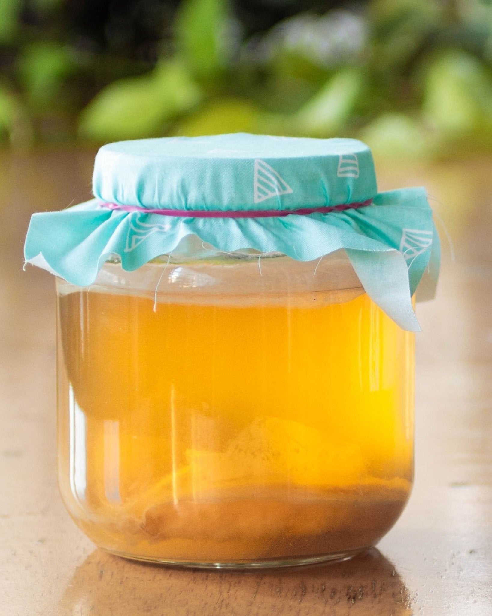 Kombucha Making Kit - 3 - FarmSteady