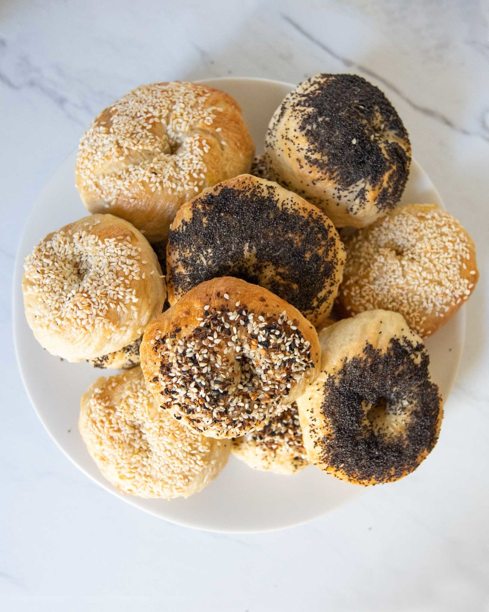 Mixed Dozen Bagel Making Kit — FarmSteady