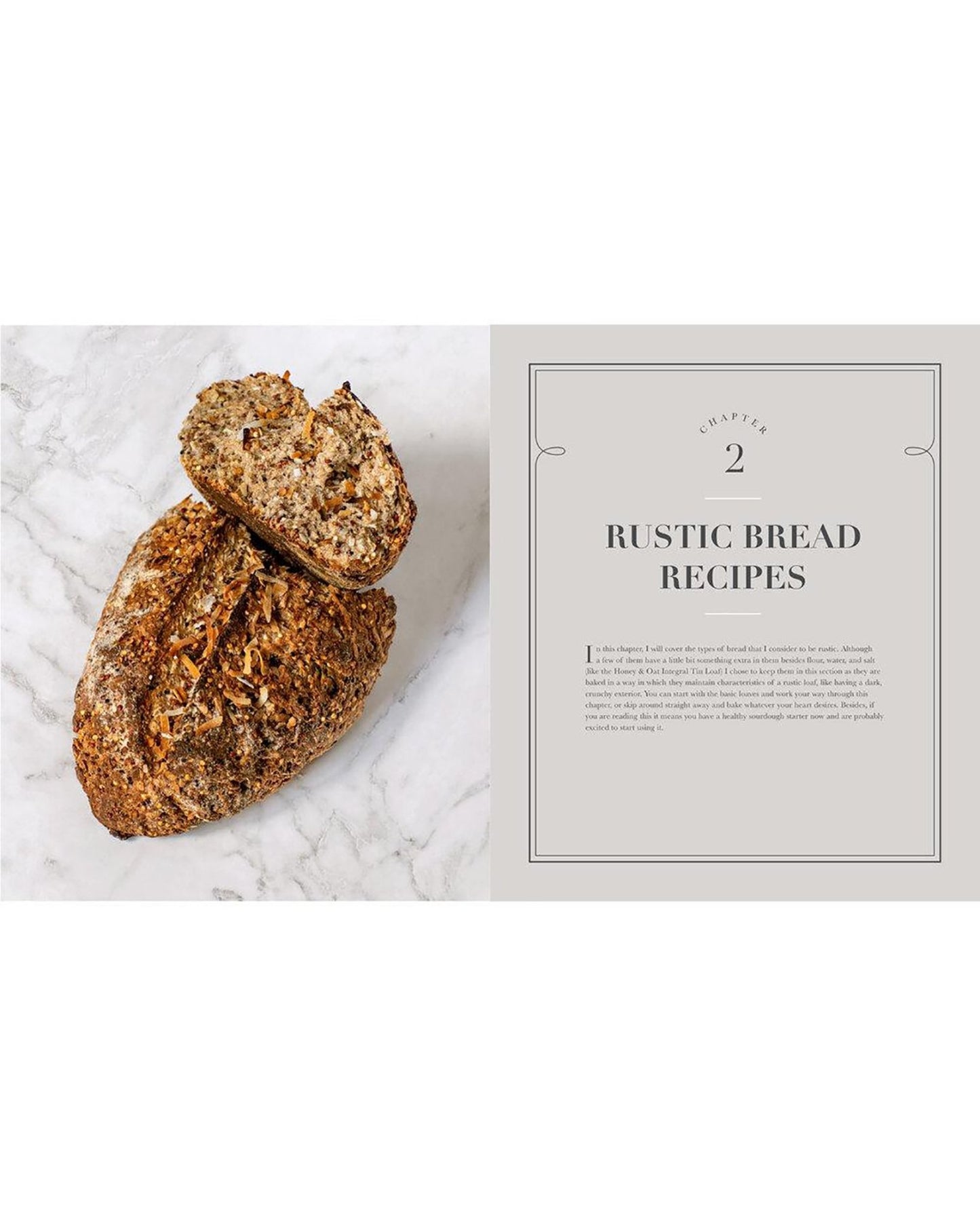New World Sourdough: Artisan Techniques for Creative Homemade Fermented Breads - 4 - FarmSteady