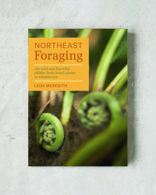 Northeast Foraging Guide - 1 - FarmSteady