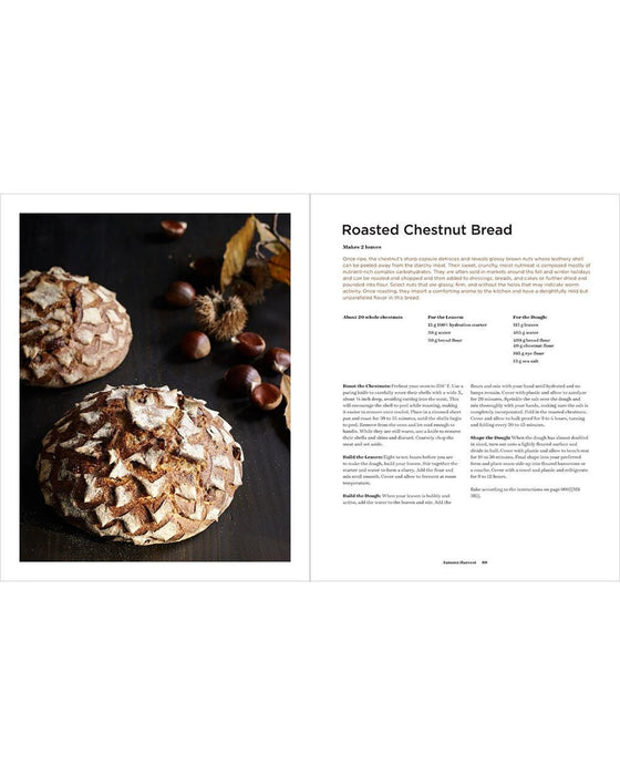 Sourdough: Recipes for Rustic Fermented Breads, Sweets, Savories, and More - 3 - FarmSteady