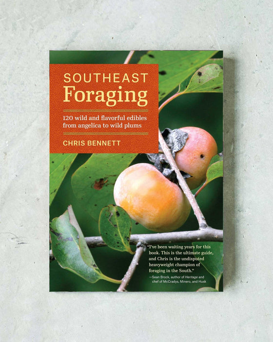 Southeast Foraging Guide - 1 - FarmSteady